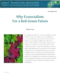 Why Ecosocialism: for a Red-Green Future