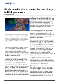 Study Unveils Hidden Molecular Machinery in RNA Processes 21 September 2016