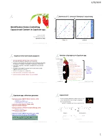 Identification Genes Controlling Capsaicinoid Content in Capsicum