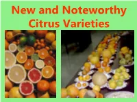 New and Noteworthy Citrus Varieties Presentation