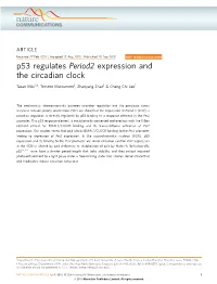 P53 Regulates Period2 Expression and the Circadian Clock