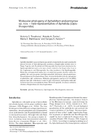 Protistology Molecular Phylogeny of Aphelidium Arduennense Sp. Nov