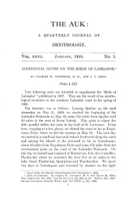 Additional Notes on the Birds of Labrador