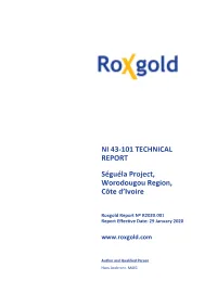 Roxgold Report Template 2020