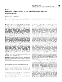 Oncogenic Transformation by the Jaagsiekte Sheep Retrovirus Envelope Protein