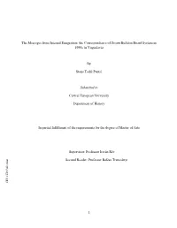 The Messages from Internal Emigration: the Correspondence Of
