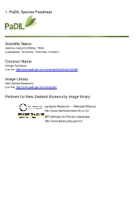 1. Padil Species Factsheet Scientific Name: Common Name Image