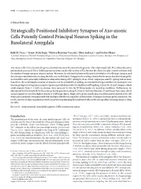 Strategically Positioned Inhibitory Synapses of Axo-Axonic Cells Potently Control Principal Neuron Spiking in the Basolateral Amygdala