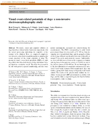 Visual Event-Related Potentials of Dogs: a Non-Invasive Electroencephalography Study