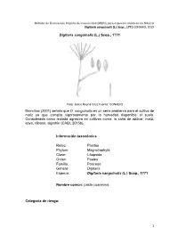 Digitaria Sanguinalis (L.) Scop., 1771 CONABIO, 2015