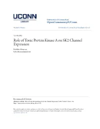Role of Tonic Protein Kinase a on SK2 Channel Expression Krithika Abiraman Krithi.Abiraman@Gmail.Com