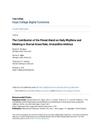 The Contribution of the Pineal Gland on Daily Rhythms and Masking in Diurnal Grass Rats, Arvicanthis Niloticus