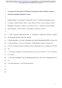 1 1 a Transgenic Line That Reports CSF1R Protein Expression