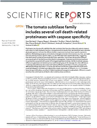 The Tomato Subtilase Family Includes Several Cell Death-Related Proteinases with Caspase Specificity