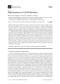 Tight Junctions in Cell Proliferation