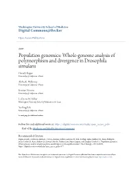 Whole-Genome Analysis of Polymorphism and Divergence in Drosophila Simulans David J