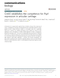 Creb5 Establishes the Competence for Prg4 Expression in Articular Cartilage