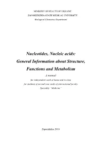 Nucleotides, Nucleic Acids: General Information About Structure, Functions and Metabolism