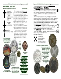 CROSS PATTERNS by Joy Journeay – Aug 2008 WRBA.Pdf