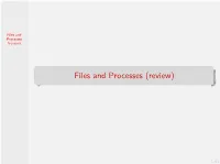 Files and Processes (Review)