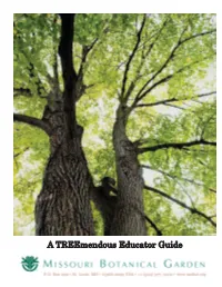 A Treemendous Educator Guide