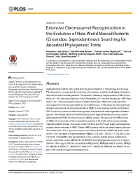 Cricetidae, Sigmodontinae): Searching for Ancestral Phylogenetic Traits
