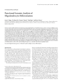 Functional Genomic Analysis of Oligodendrocyte Differentiation