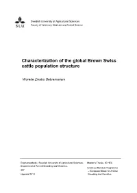 Characterization of the Global Brown Swiss Cattle Population Structure