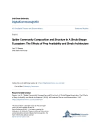 Spider Community Composition and Structure in a Shrub-Steppe Ecosystem: the Effects of Prey Availability and Shrub Architecture