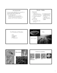 Announcements Protists - Outline Reading: Chap
