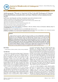 Anthropogenic Threats to Survival of The