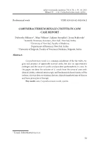 Corynebacterium Renale Cystitis in Cow - Case Report