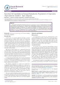 Essential Oil Variability in Natural