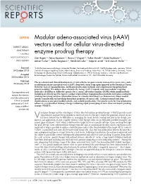 Modular Adeno-Associated Virus (Raav)