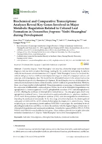 Biochemical and Comparative Transcriptome Analyses Reveal