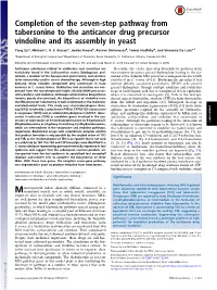 Completion of the Seven-Step Pathway from Tabersonine to the Anticancer Drug Precursor Vindoline and Its Assembly in Yeast