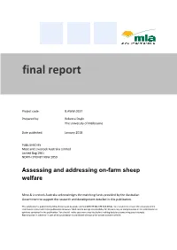 Final Report