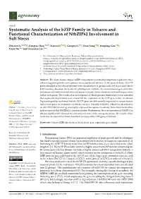Systematic Analysis of the Bzip Family in Tobacco and Functional Characterization of Ntbzip62 Involvement in Salt Stress