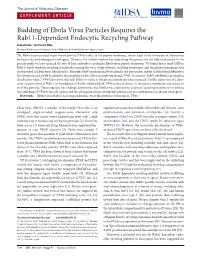 Budding of Ebola Virus Particles Requires The