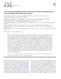 Socio-Spatial Organization and Kin Structure in Ocelots from Integration of Camera Trapping and Noninvasive Genetics