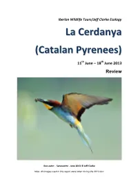 Catalan Pyrenees, So Teresa Consulted Colleague Mike Lockwood As to an Alternative Locality for the Likes of Pyrenean Saxifrage