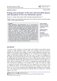 Ecology and Systematics of the Wine Wētā and Allied Species, with Description of Four New Hemiandrus Species Steven A