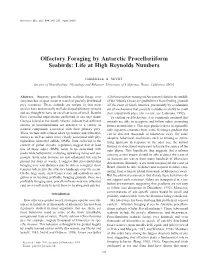 Olfactory Foraging by Antarctic Procellariiform Seabirds: Life at High Reynolds Numbers