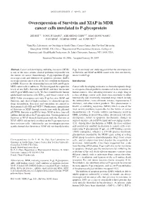 Overexpression of Survivin and XIAP in MDR Cancer Cells Unrelated to P-Glycoprotein