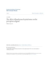 The Effect of Band-Passed Spatial Noise on the Perception of Grain Wallace Carpenter