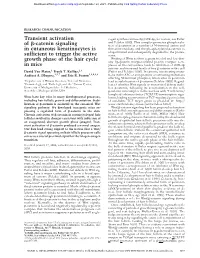 Transient Activation of ß-Catenin Signaling in Cutaneous Keratinocytes Is Sufficient to Trigger the Active Growth Phase Of
