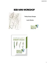 Bsbi Mini-Workshop