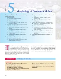 CHAPTER 5Morphology of Permanent Molars