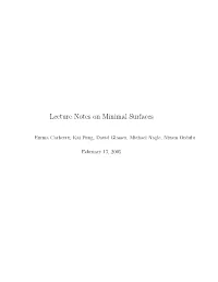 Lecture Notes on Minimal Surfaces