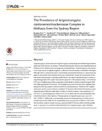 The Prevalence of Angiostrongylus Cantonensis/Mackerrasae Complex in Molluscs from the Sydney Region